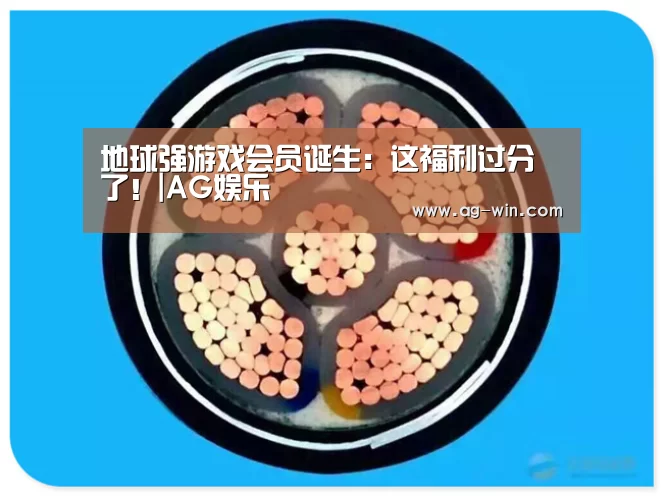 地球强游戏会员诞生:这福利过分了!|AG娱乐(图4) AG官网
