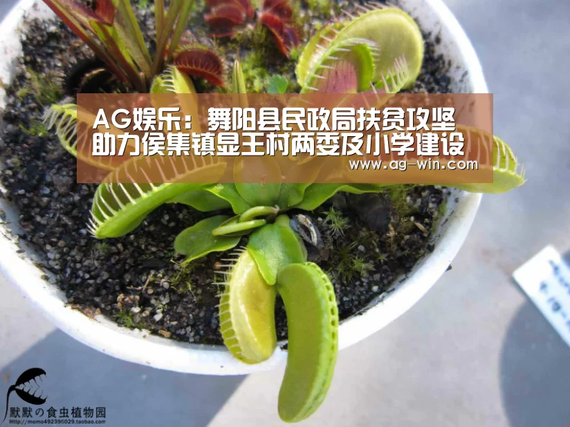 AG娱乐:舞阳县民政局扶贫攻坚助力侯集镇显王村两委及小学建设(图4) AG官网