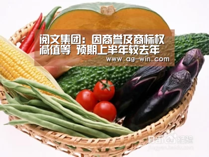 阅文集团:因商誉及商标权减值等 预期上半年较去年同期由盈转亏|AG百家乐(图1) AG娱乐
