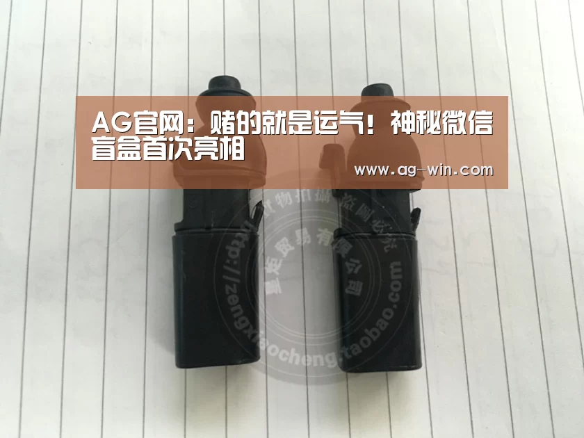 AG官网:赌的就是运气!神秘微信盲盒首次亮相(图2) AG真人